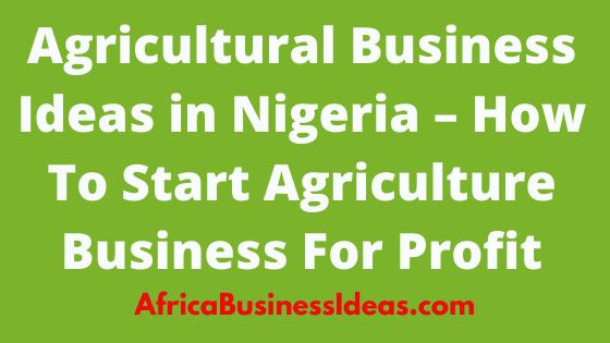 Agricultural Business Ideas in Nigeria