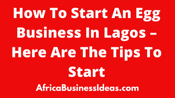 How To Start An Egg Business In Lagos