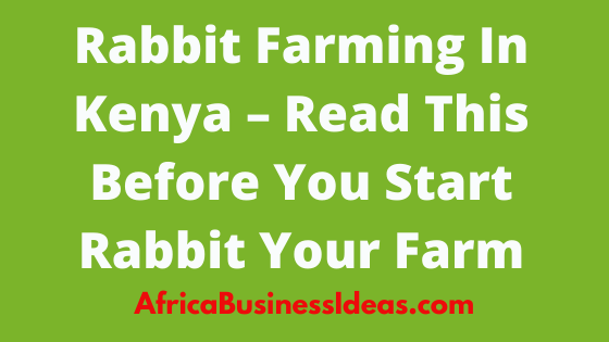 Rabbit Farming In Kenya