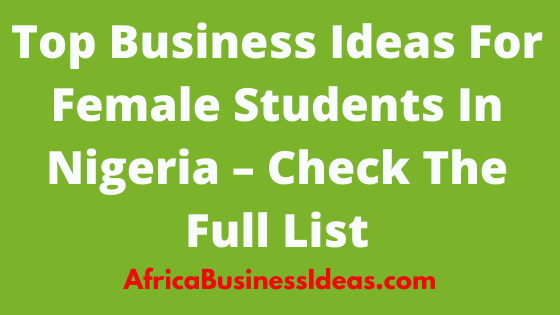 Top Business Ideas For Female Students In Nigeria